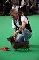 Crufts2011_2 707